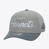 Gray Charlotte Hornets Thunderstorm Head Coach Pro Crown Snapback Hat | NBA