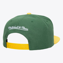 Minnesota Wild Mitchell & Ness Legendary Home Snapback Hat - NHL Hats