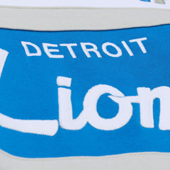 Detroit Lions Head Coach Hoodie | NFL On sale
