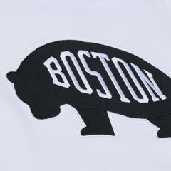 Boston Bruins Mitchell & Ness Arctic Fleece Hoodie - NHL Hoodies