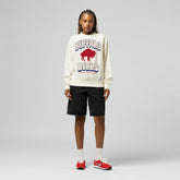 Buffalo Bills Women's Tonal Arch Sweatshirt | NFL US