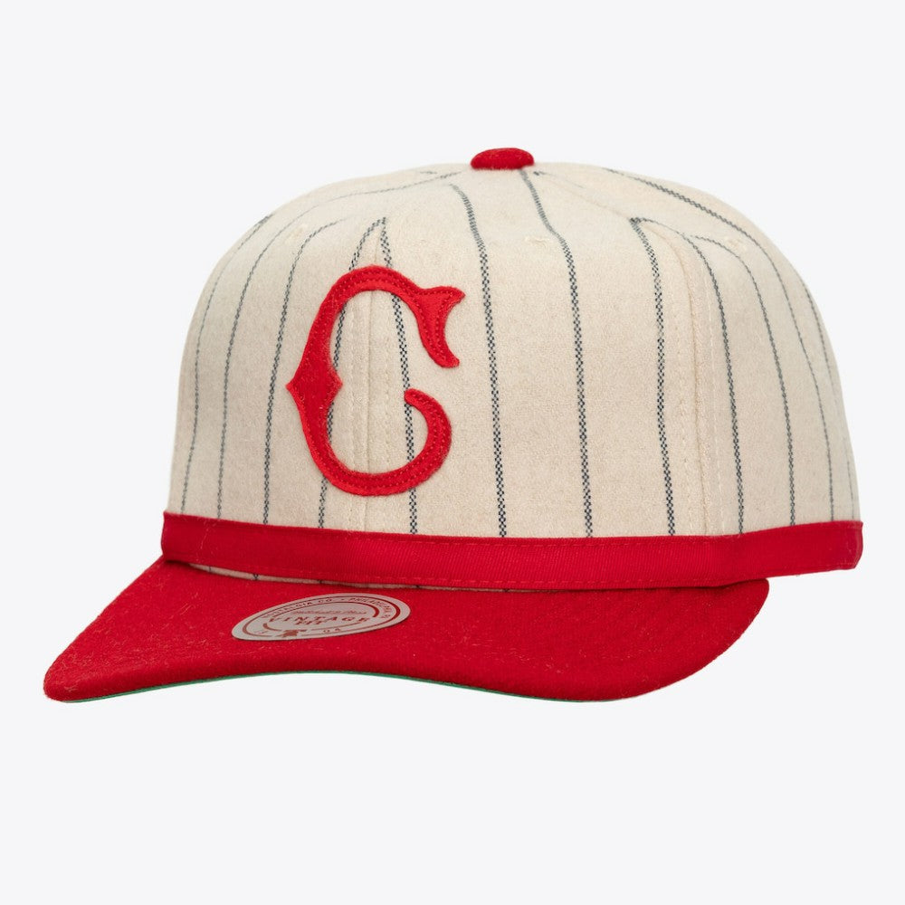 Cincinnati Reds Mitchell & Ness Unisex Vintage Ground Melton Wool Pinstripe Adjustable Hat - MLB Hats