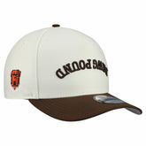 Cleveland Browns Upside Down 9FIFTY A-Frame Snapback Hat | NFL Near me