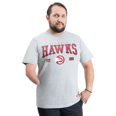 Gray Atlanta Hawks G-III Sports by Carl Banks Adaptive Classic Team Spirit Short Sleeve T-Shirt | NBA