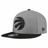 Gray Toronto Raptors Core Logo Storm Gray Two-Tone 9FIFTY Snapback Hat | NBA