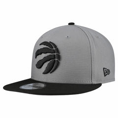 Gray Toronto Raptors Core Logo Storm Gray Two-Tone 9FIFTY Snapback Hat | NBA