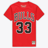 Red Scottie Pippen Chicago Bulls Unisex Hardwood Classics Name & Number T-Shirt sale | NBA