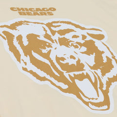 Chicago Bears Walter Payton Sandman Name & Number T-Shirt | NFL US