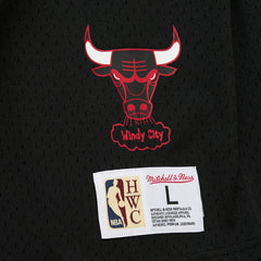 Black Dennis Rodman Chicago Bulls Mesh Name & Number Short Sleeve Hoodie sale | NBA