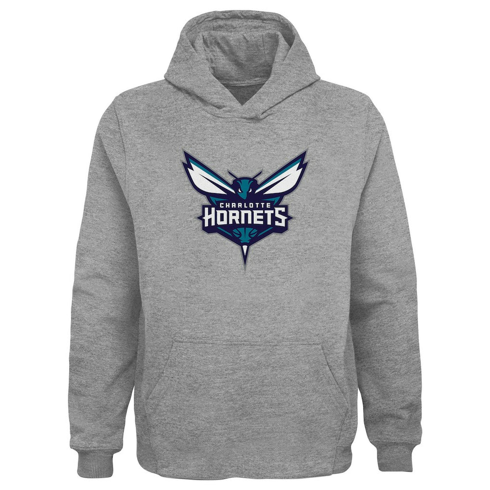 Gray Charlotte Hornets Outerstuff Youth Primary Logo Pullover Hoodie | NBA
