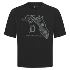 Detroit Tigers Levelwear Sunrise Luxe Signature Knit T-Shirt - MLB T-shirts
