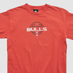 Red Chicago Bulls 2010s T-shirt sale | NBA
