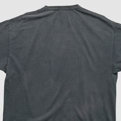 Pittsburgh Steelers NFL 2010s T-shirt | NFL Online