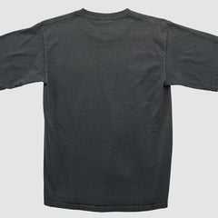 Pittsburgh Steelers NFL 2000s T-shirt | NFL Hot