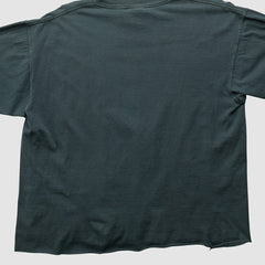 Pittsburgh Steelers NFL 2000s T-shirt | NFL Hot