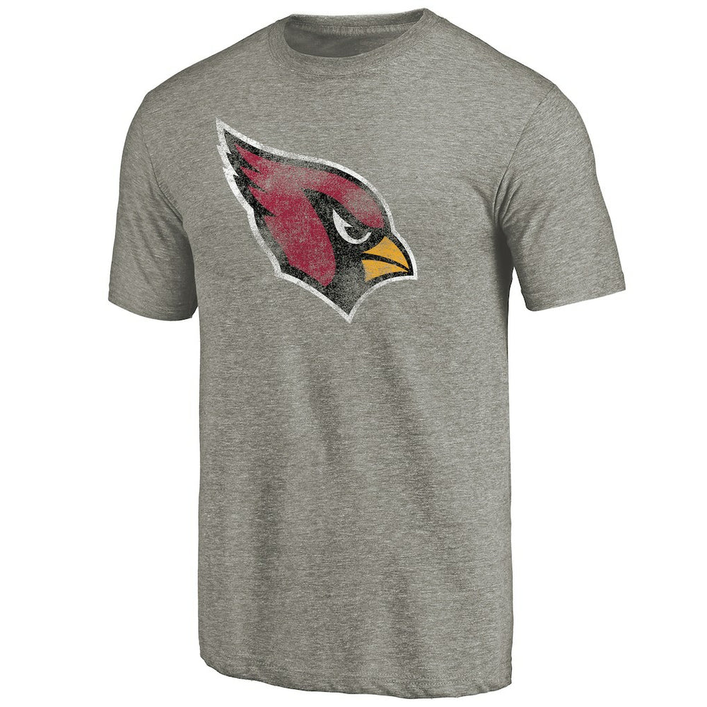 Arizona Cardinals Distressed Team T-Shirt | NFL Hot