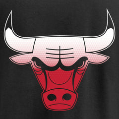 Black Chicago Bulls Gradient Logo Pullover Hoodie | NBA