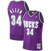 Purple Ray Allen Milwaukee Bucks 2000/01 Hardwood Classics Swingman Jersey | NBA