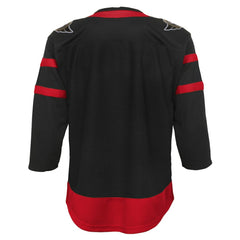 Ottawa Senators Youth Home Premier Jersey - NHL Jerseys