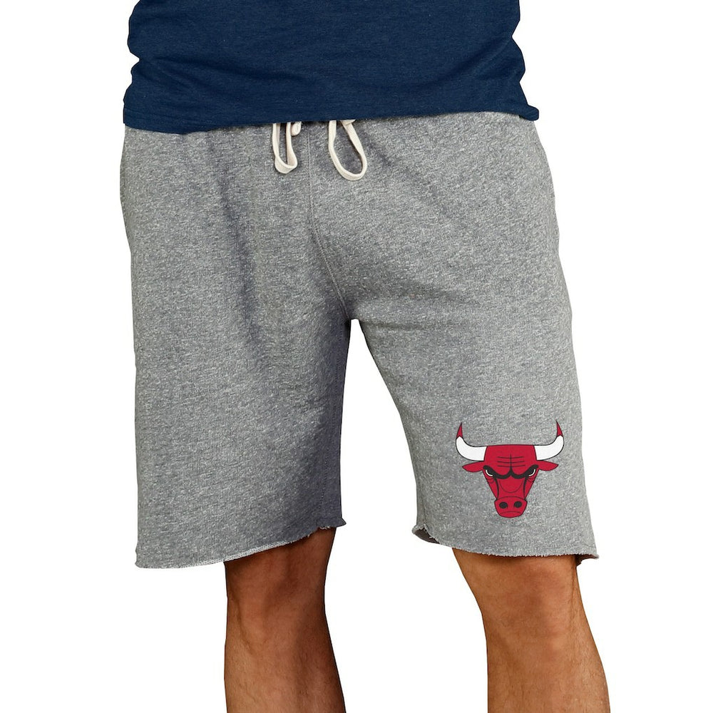 Gray Chicago Bulls Concepts Sport Mainstream Terry Shorts | NBA