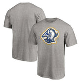 Buffalo Sabres Special Edition Secondary Logo T-Shirt - NHL T-shirts