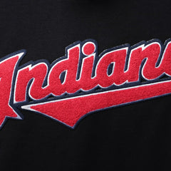 Cleveland Guardians Pro Standard Team Logo T-Shirt - MLB T-shirts