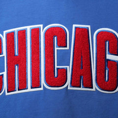 Chicago Cubs Pro Standard Team Logo T-Shirt - MLB T-shirts