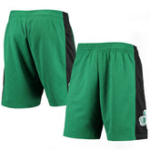 Kelly Green Boston Celtics 2007 Hardwood Classics 75th Anniversary Swingman Shorts | NBA
