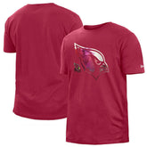 Arizona Cardinals 2022 Sideline Ink Dye T-Shirt | NFL Hot