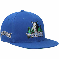 Blue Minnesota Timberwolves Hardwood Classics Snapback Hat | NBA