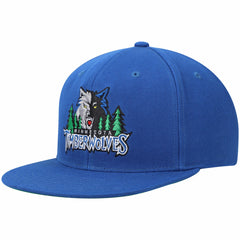 Blue Minnesota Timberwolves Hardwood Classics Snapback Hat | NBA