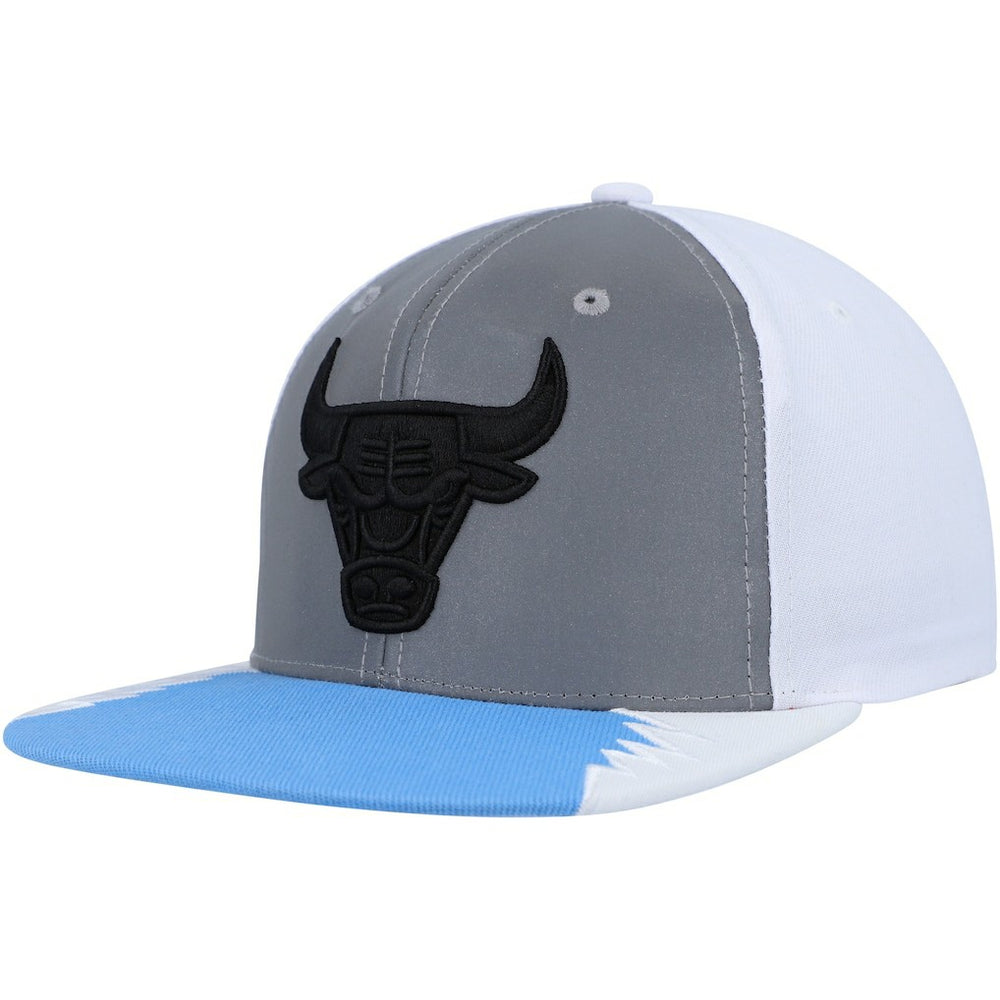 Silver/Blue Chicago Bulls Day 5 Snapback Hat | NBA