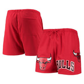 Red Chicago Bulls Pro Standard Mesh Capsule Shorts | NBA