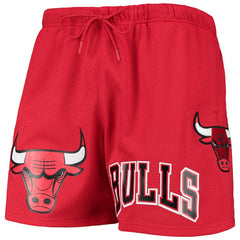 Red Chicago Bulls Pro Standard Mesh Capsule Shorts | NBA