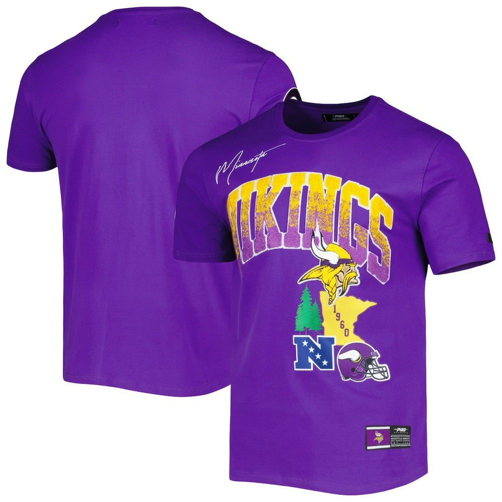 Minnesota Vikings Pro Standard Hometown Collection T-Shirt | NFL New