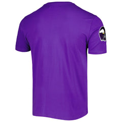 Minnesota Vikings Pro Standard Hometown Collection T-Shirt | NFL New