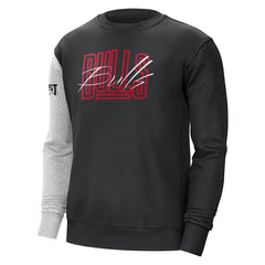 Black/Heather Gray Chicago Bulls Courtside Versus Force & Flight Pullover Sweatshirt sale | NBA