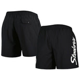 Pittsburgh Steelers Team Essentials Nylon Shorts | NFL Online