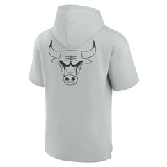 Gray Chicago Bulls Unisex Elements Super Soft Fleece Short Sleeve Pullover Hoodie sale | NBA