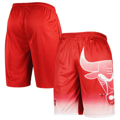 Red Chicago Bulls Graphic Shorts | NBA