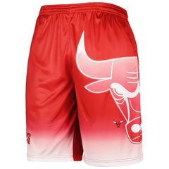 Red Chicago Bulls Graphic Shorts | NBA