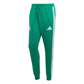 Mexico 2026 Men's DNA Pants