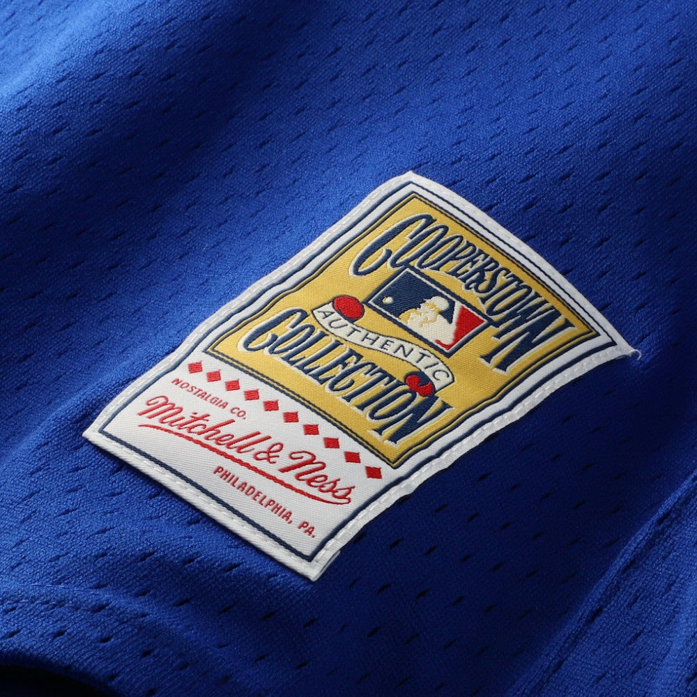 Joe Carter Toronto Blue Jays Mitchell & Ness Authentic Batting Practice Jersey - MLB Jerseys