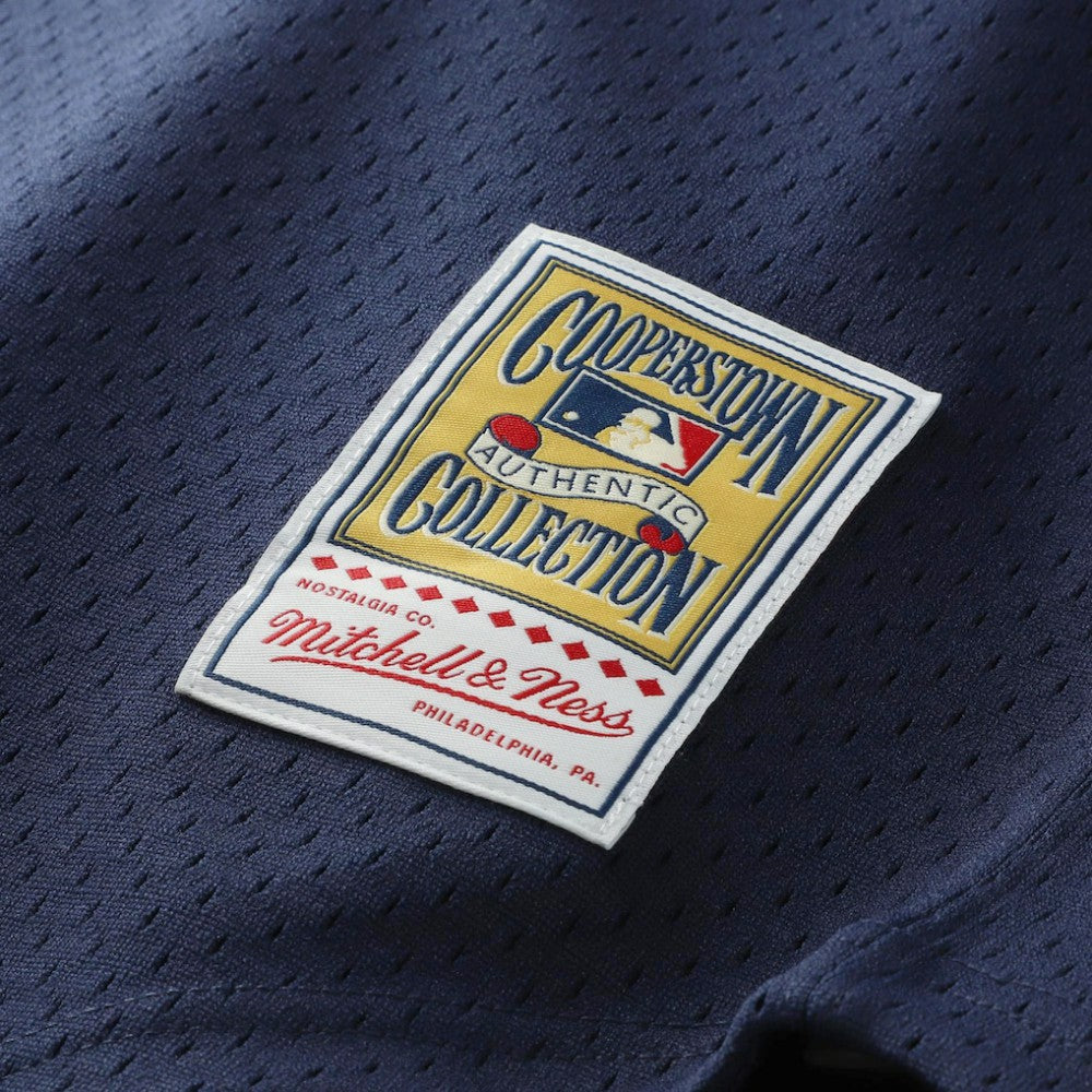 Kirby Puckett Minnesota Twins Mitchell & Ness Authentic Batting Practice Jersey - MLB Jerseys
