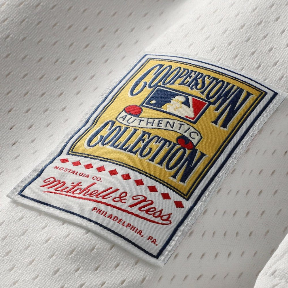Cal Ripken Jr. Baltimore Orioles Mitchell & Ness Authentic Batting Practice Jersey - MLB Jerseys