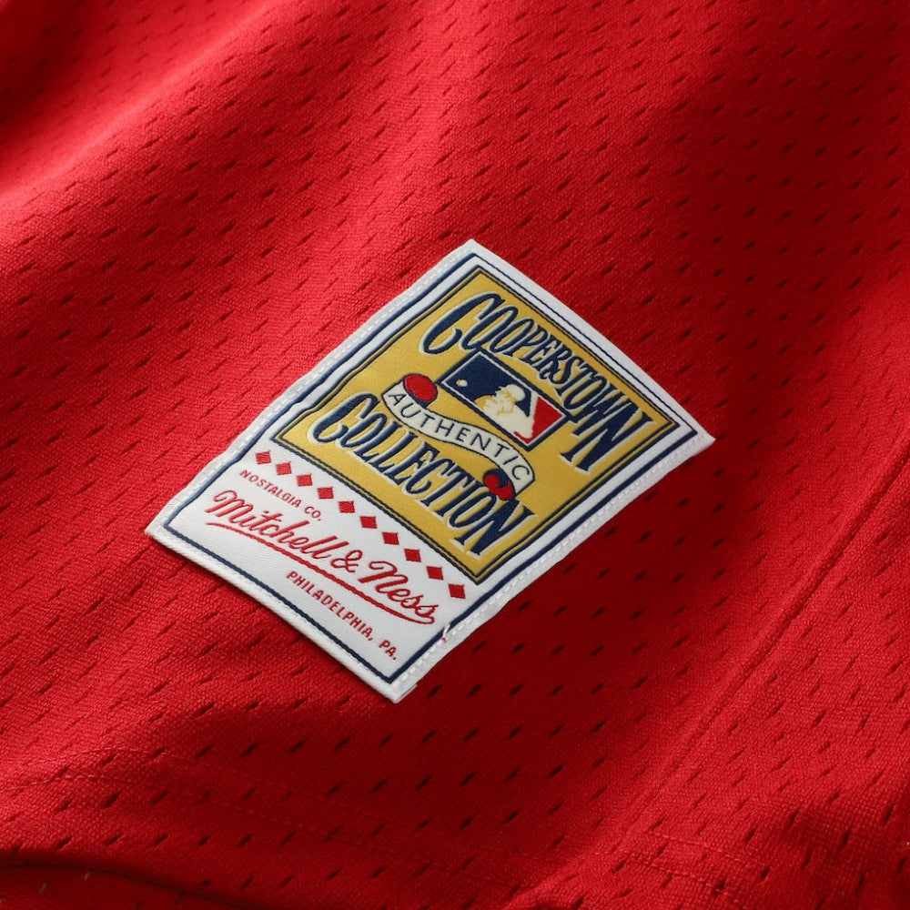 Ozzie Smith St. Louis Cardinals Mitchell & Ness Authentic Batting Practice Jersey - MLB Jerseys