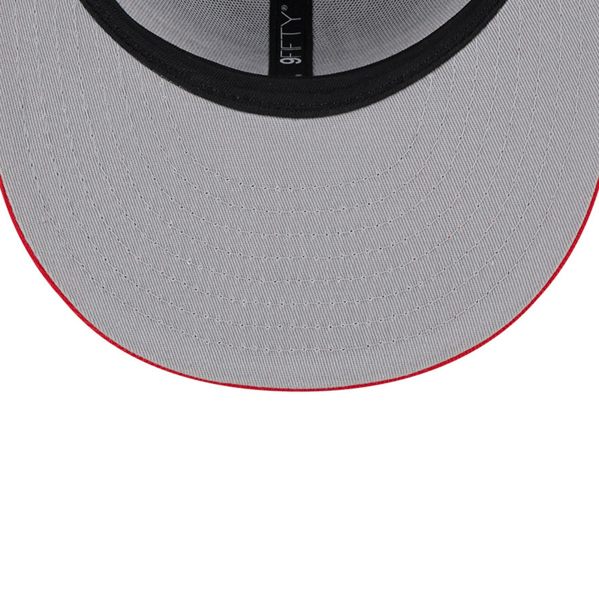 Gray Toronto Raptors Chenille Band 9FIFTY Snapback Hat | NBA