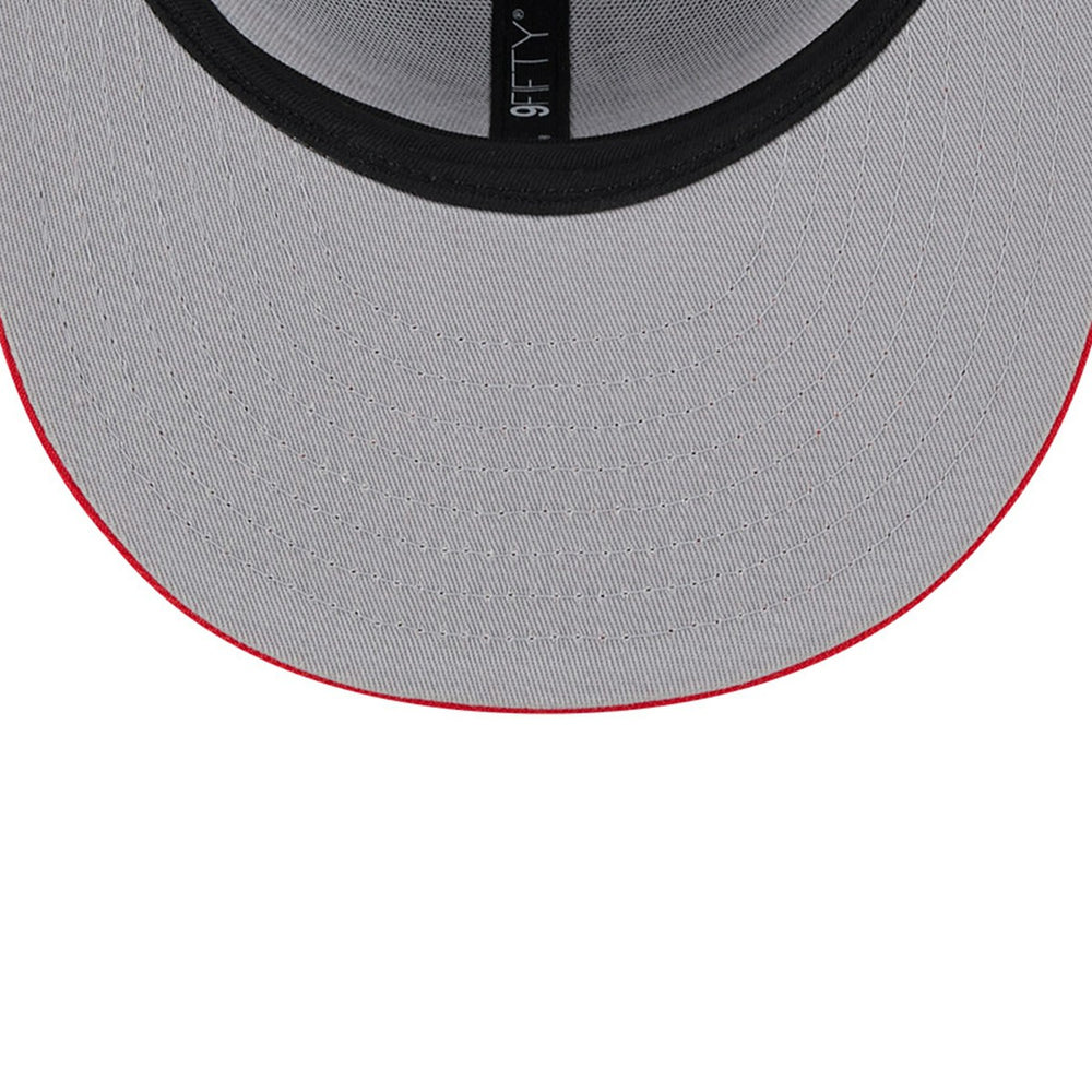 Gray Toronto Raptors Chenille Band 9FIFTY Snapback Hat | NBA