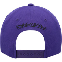 Purple/Black Sacramento Kings MVP Team Two-Tone 2.0 Stretch-Snapback Hat | NBA