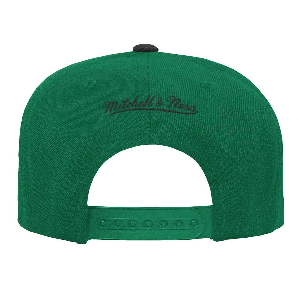 Kelly Green/Black Boston Celtics Youth Two-Tone Snapback Hat | NBA
